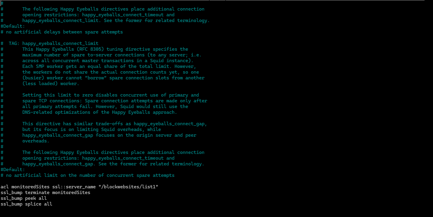 Featured image of post Squid proxy 6.0 for Https Filter [Ubuntu 24.04 LTS] [Transparent Proxy]  